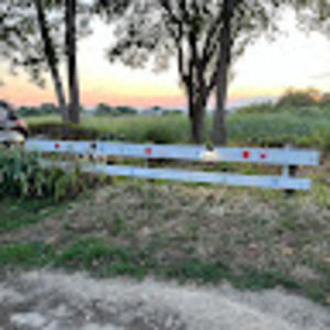 Meet your Posher, Lyla